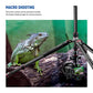 N55CR Upgraded 80.7" Carbon Fiber Camera Tripod Monopod Travel Stand