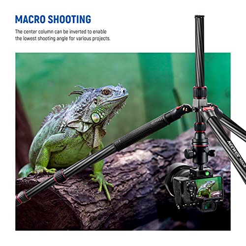 N55CR Upgraded 80.7" Carbon Fiber Camera Tripod Monopod Travel Stand