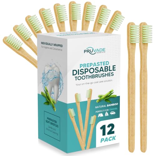 12 Pack Disposable Bamboo Toothbrushes with Toothpaste