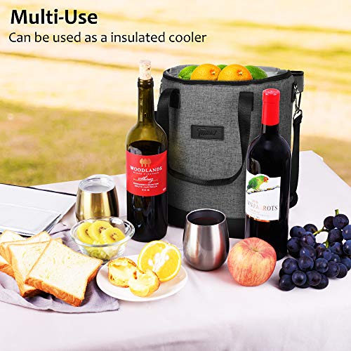 6 Bottle Wine Cooler Carrier Tote Bag