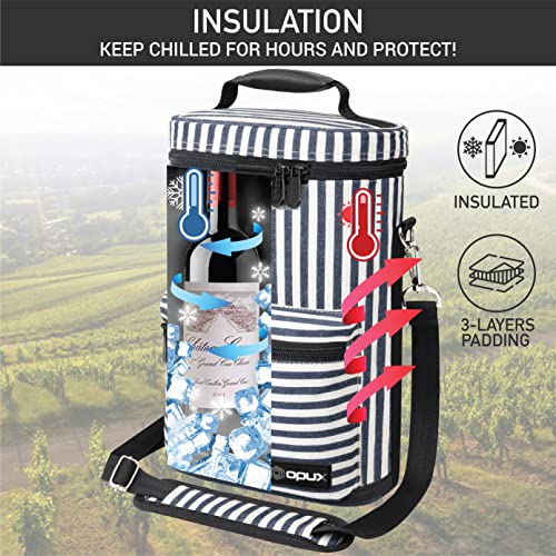 Insulated 2 Bottle Wine Bag Tote Leakproof Carrier Cooler Gift Stripes