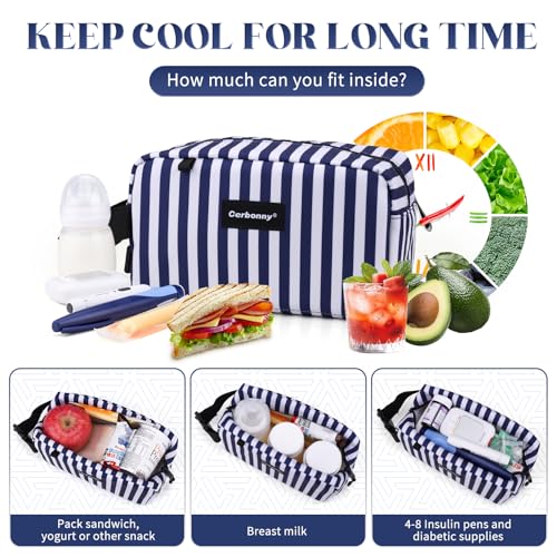 Small Cooler Bag