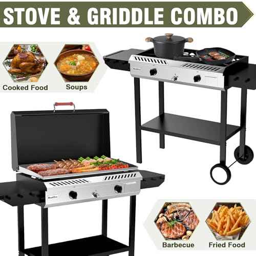 2 Burner Outdoor Propane Gas Stove with Auto Ignition & Regulator