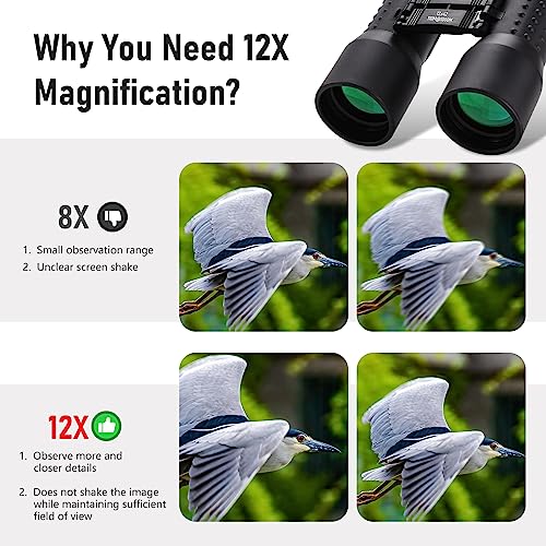 12x42 Waterproof Binoculars for Adults with Large Objective Lens