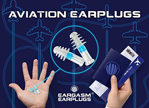 Aviation Earplugs (2 Count)