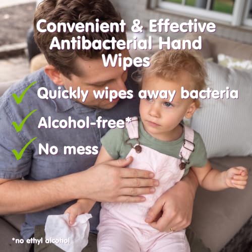 Antibacterial Hand Wipes (30 Count)