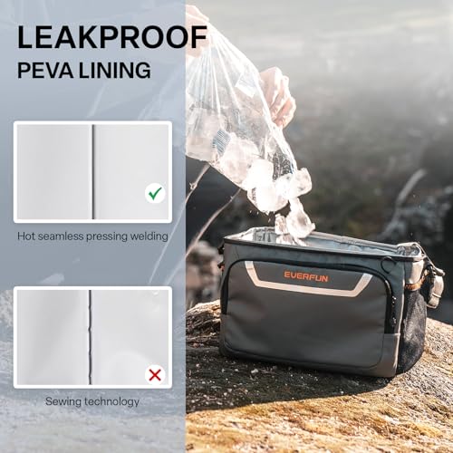 Small Cooler Bag 24 Can Insulated Lunch Box Double Deck Soft Leak (24 Count)