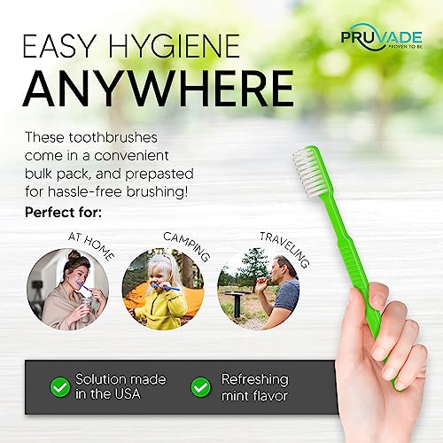 12 Pack Disposable Toothbrushes with Toothpaste (12 Count)