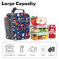 Lunch box Insulated Soft Bag Mini Cooler Back to School Thermal Meal Tote Kit for Girls