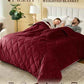 Queen Size Weighted Blanket for Adults 20lbs