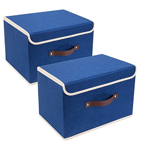 Collapsible Storage Boxes (2 Count)