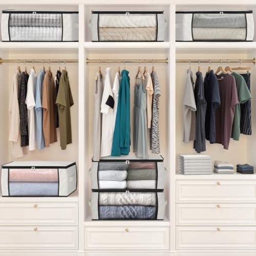 35L Closet Organizers (6 Count)