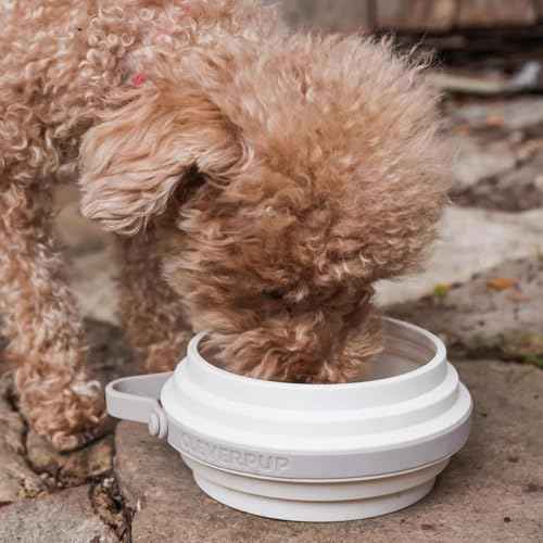 Nomad Small Collapsible Travel Dog Bowl