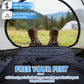 Camping Sleeping Bag