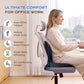 Car Seat Cushion and Lumbar Support Pillow One Piece