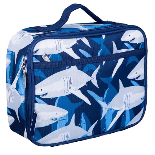 Kids Insulated Lunch Box