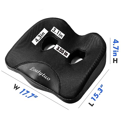 Seat Cushion Pillow