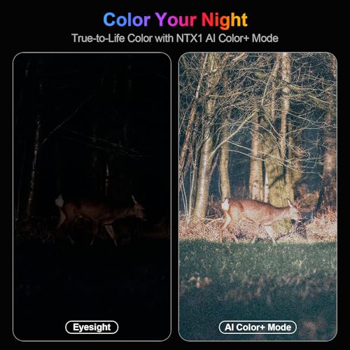 True 4K Full Color Night Vision Binoculars
