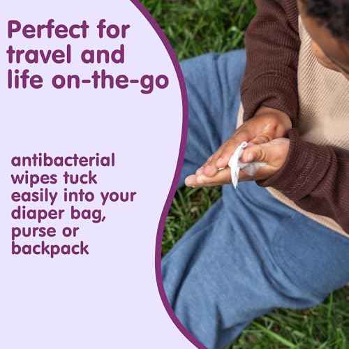 Antibacterial Hand Wipes (30 Count)