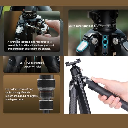 FALCAM TreeRoot F38 Quick Lock Lite Carbon Fiber Tripod with Ball Head