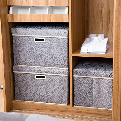 Large Storage Boxes with Lids [5 (5 Count)