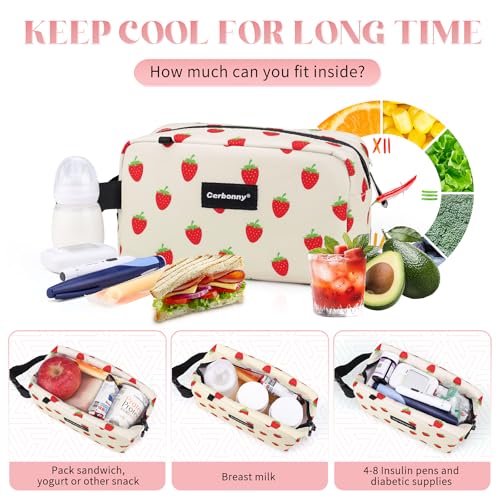 Small Cooler Bag
