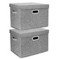 Large Collapsible Storage Bins with Lids (2 Count)
