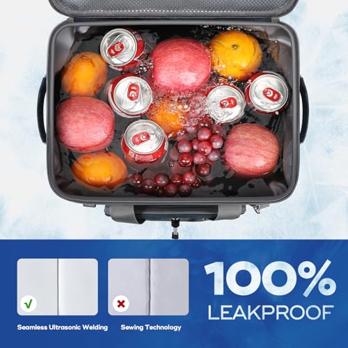 30Can Collapsible Soft Cooler Bag