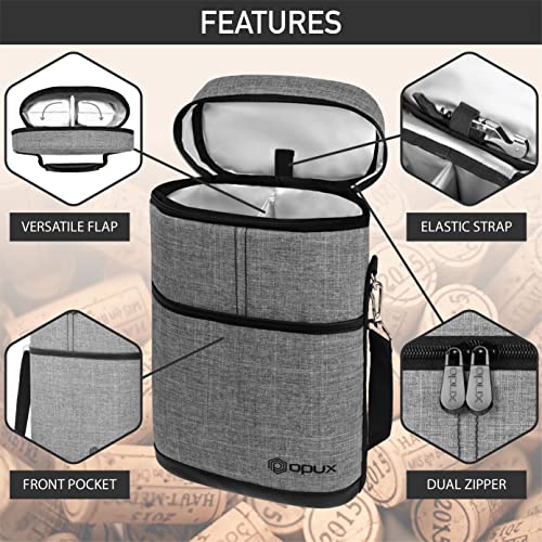 2 Bottle Wine Carrier Tote