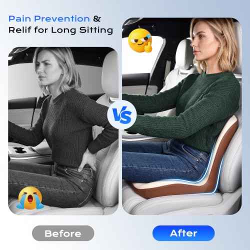 Car Seat Cushion and Lumbar Support Pillow One Piece