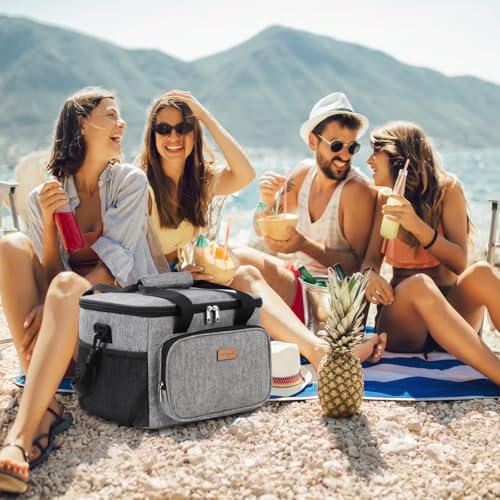 Medium Lunch Bag Insulated Lunch Box Soft Cooler Cooling Tote for Adult Men Women (Gray / Mega (33L))