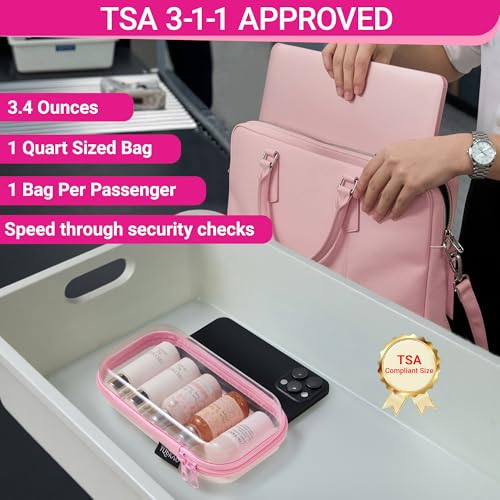 Clear Hard Shell Zipper Cases (4 Count)