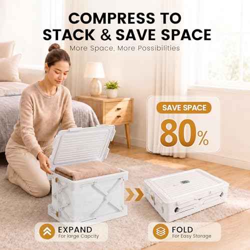 Storage Bags for Clothing (2 Count)