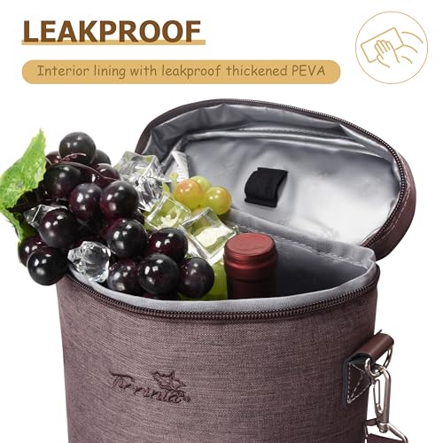 2 Bottle Insulated Wine Tote Carrier Bag