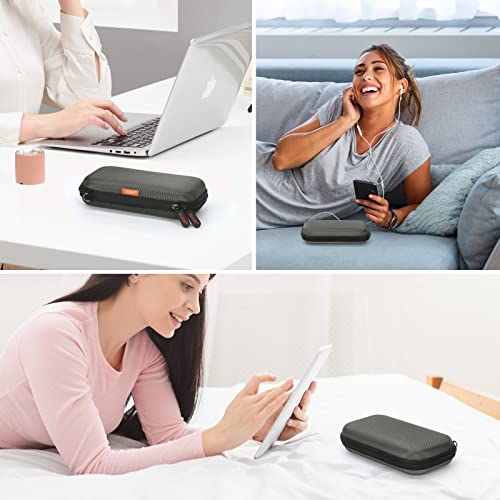 Small Electronic Organizer