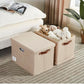 17" Large Fabric Storage Box with Lids (3 Count)