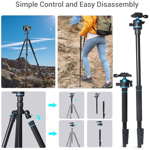 Camera Tripod