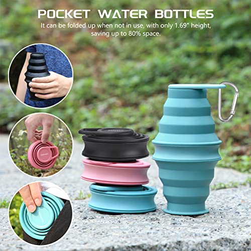 Collapsible Water Bottle