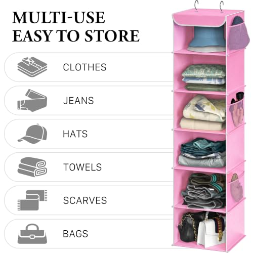 6 Shelf Hanging Closet Organizer