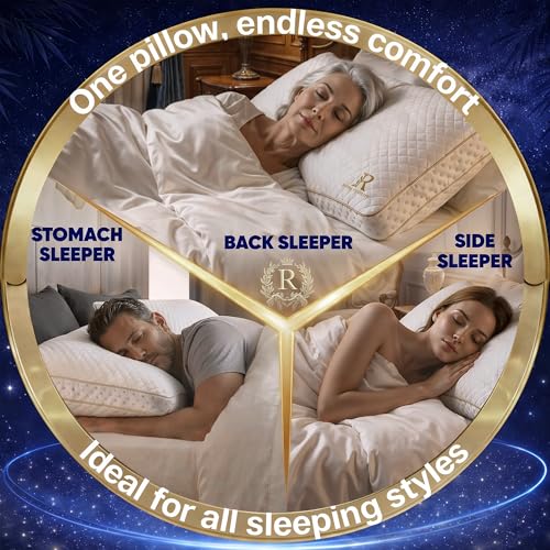 2 Pack King Memory Foam Pillow (2 Count)