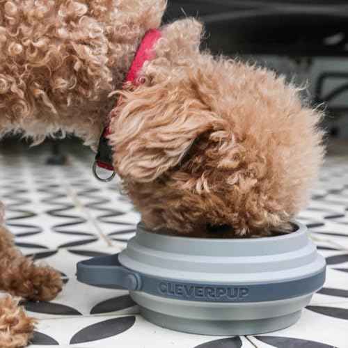 Nomad Small Collapsible Travel Dog Bowl