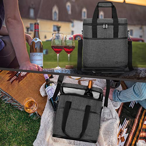 Insulated Wine Cooler Bag