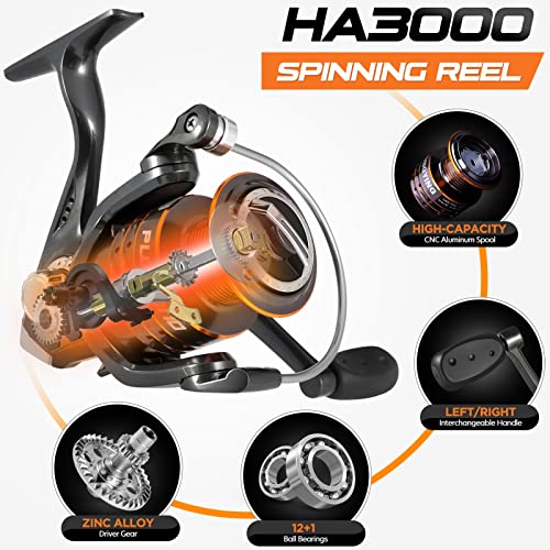 Collapsible Telescopic Fishing Rod Pole and Reel Combo Starter Kit