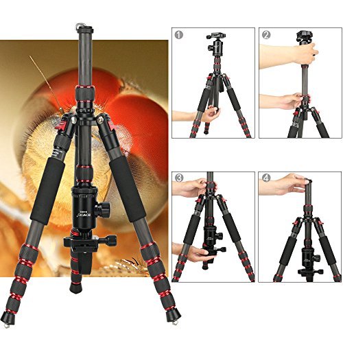 B690C Lightweight Carbon Fiber Portable Tripod Compact Travel Camera Tripod Monopod with 360 Degree Ball Head