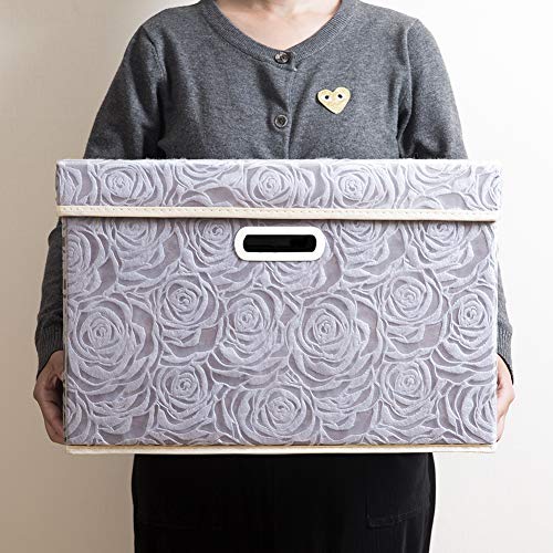 Large Storage Boxes with Lids [5 (5 Count)