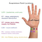 Motion Sickness Relief Acupressure Wristbands for Kids and Adults – Waterproof, Slip-On, Nausea Relief, Motion Sickness, Travel (2 Pack) (Black, Medium 7)