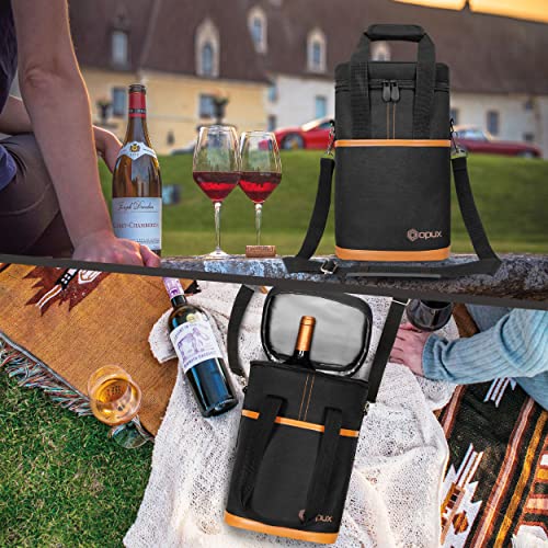 Insulated Wine Cooler Bag