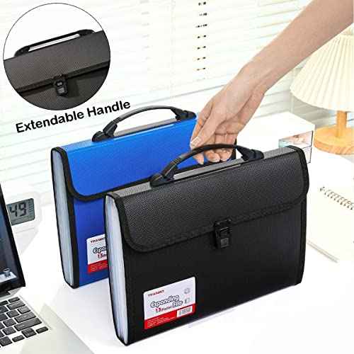 2 Pack 12 Pockets Accordion File Organizer with Handle (2 Count)