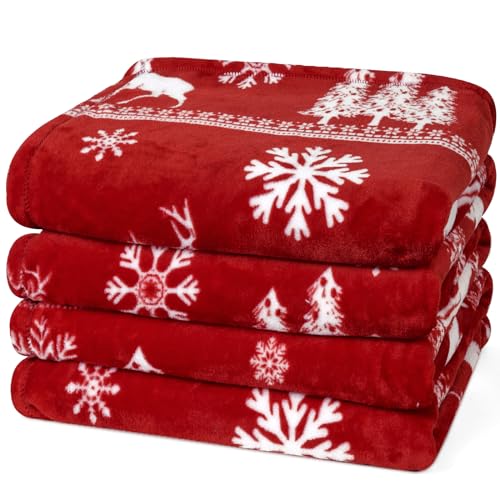 Printed Fleece Blanket Queen Size