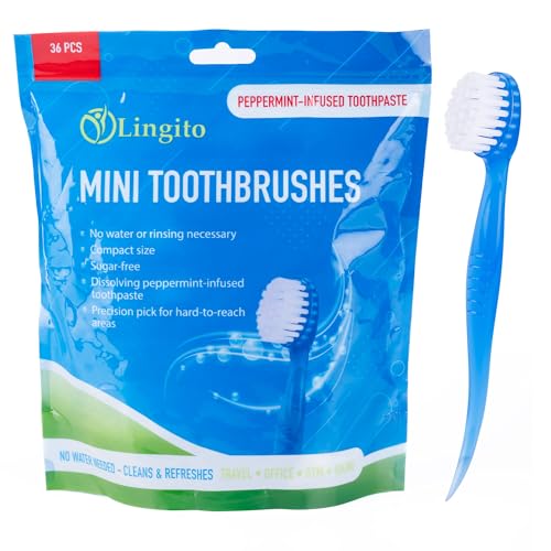 Bulk 36 Pack Mini Toothbrush Set (36 Count)